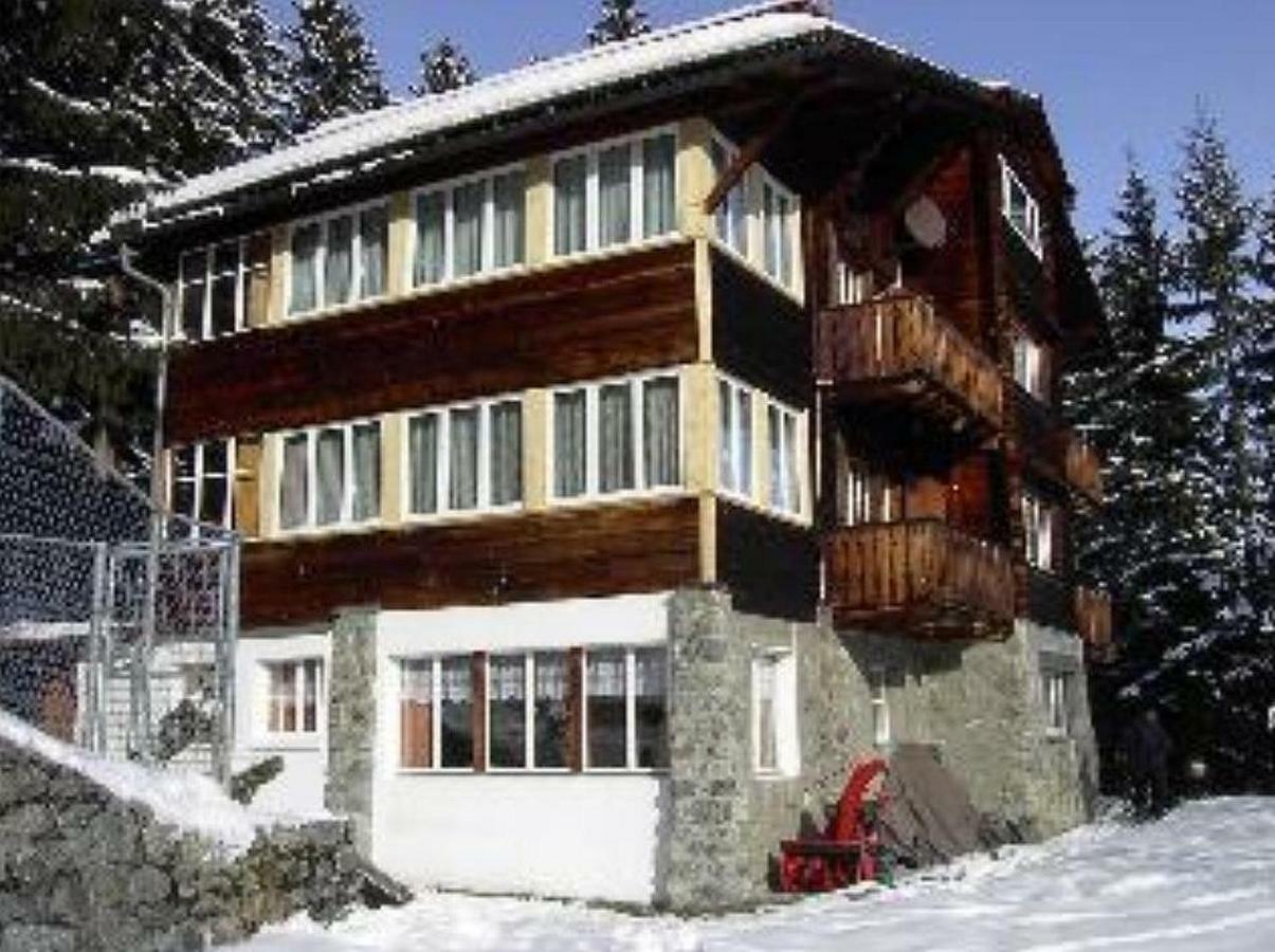 Chalet Suveran Leilighet Arosa Eksteriør bilde
